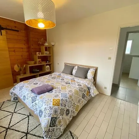 De Cazaux, Piscine Chauffee Petanque Billard ヴィラ