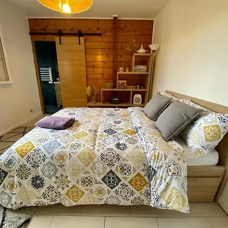 ヴィラ De Cazaux, Piscine Chauffee Petanque Billard *